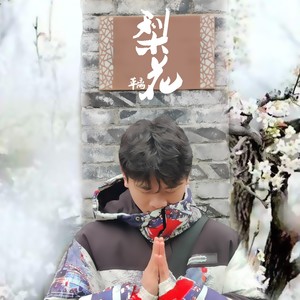 梨花 (伴奏)