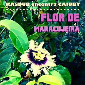 Flor de Maracujeira