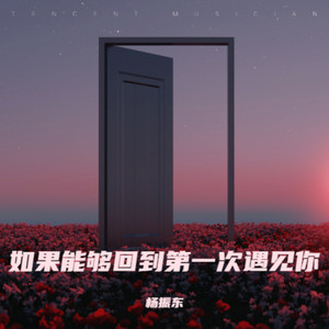 杨振东 - 如果能够回到第一次遇见你 (伴奏)