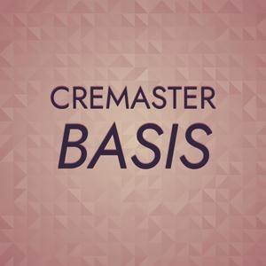 Cremaster Basis