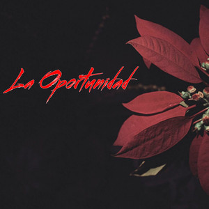 La Oportunidad