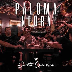 Paloma Negra