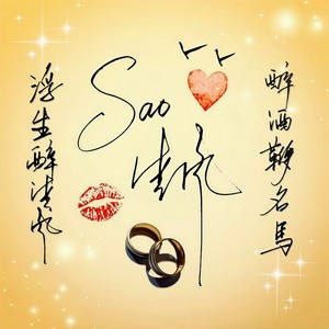 骚家战歌