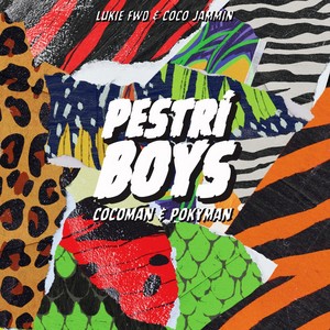 Pestrí boys