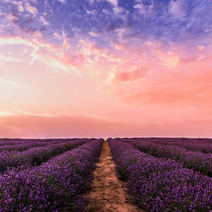 The Keys Sounded Softly