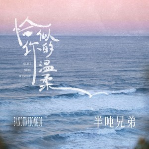 半吨兄弟 - 恰似你的温柔