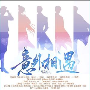 意外相遇 (剧情版)