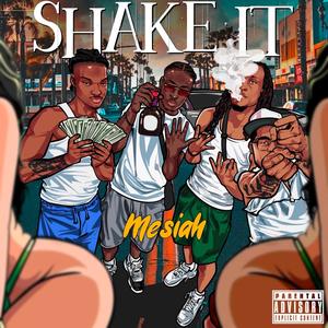 Shake It (Explicit)