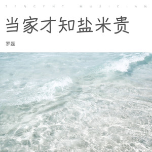 当家才知盐米贵 (伴奏)