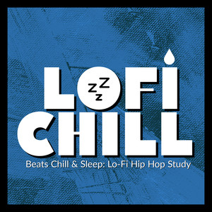 Beats Chill & Sleep: Lo-Fi Hip-Hop Study