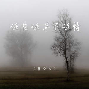 碰花碰草不碰情