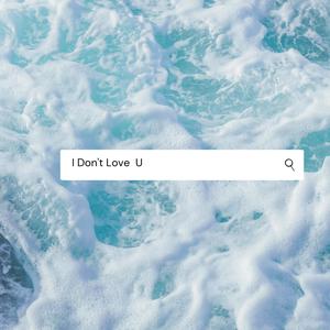 I Dont Love U (Explicit)