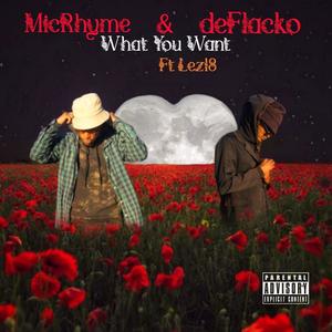 What you Want (feat. deFLACKO & lez18) [Explicit]