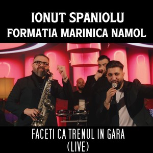 Faceti ca trenul in gara (Live)