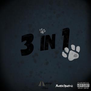 3 IN 1 (Explicit)