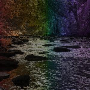 the middle (Single Version)