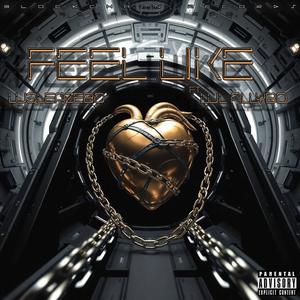 Feel Like (feat. lul allybo) (Explicit)