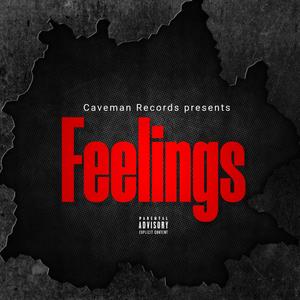 Feelings (feat. Steeebie) [Explicit]