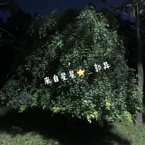 来自星星