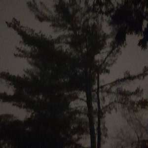 Don't Leave (Explicit)