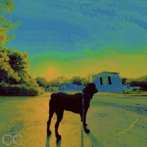 Rearview (feat. PERP) (Explicit)