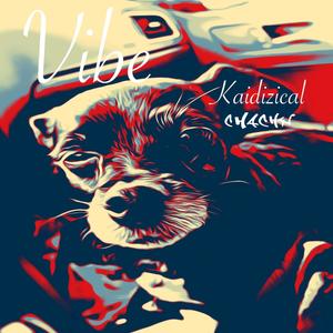 Vibe(feat. Kaidizical) (Explicit)