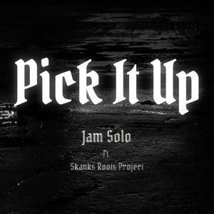 Pick It Up (feat. Skanks Roots Project)