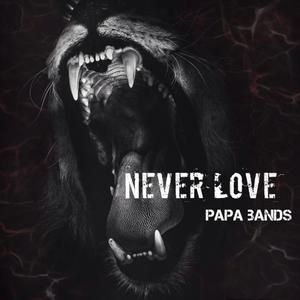 Never Love (Explicit)