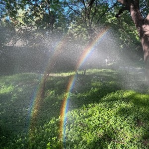 雨过后的风景 (DJ带感版)