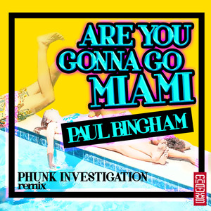 Are You Gonna Go Miami (Phunk Investigation Remix)