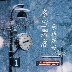 冬雪飘落你还好吗 (伴奏)