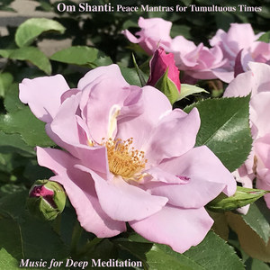 Om Shanti: Peace Mantras for Tumultuous Times