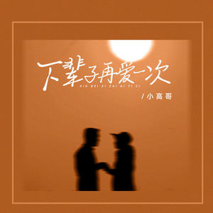 下辈子再爱一次