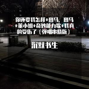 你还要我怎样+斑马，斑马+董小姐+奇妙能力歌+我真的受伤了 (弹唱串烧伴奏版)
