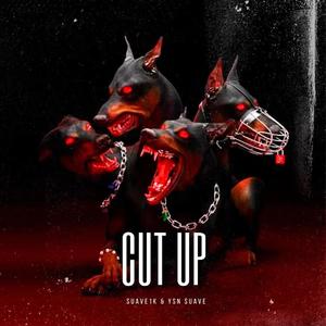 Cut Up (feat. YSN $uave) [Explicit]