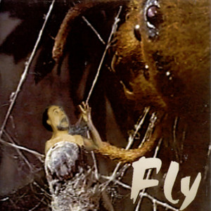 Fly