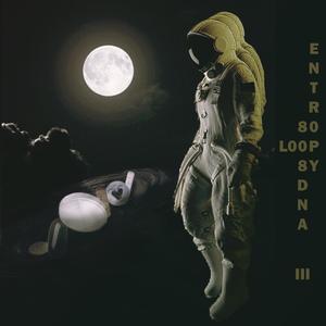 Entropy Loop III (Explicit)