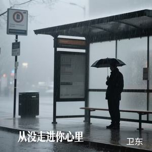 从没走进你心里