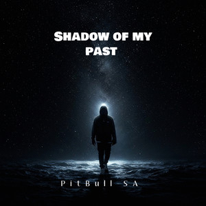 PitBull SA - Soul Searching