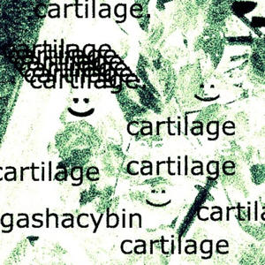 Cartilage (Explicit)