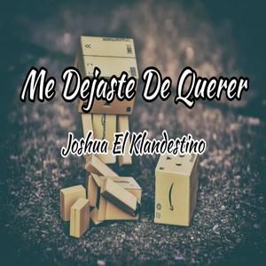 Me Dejaste De Querer