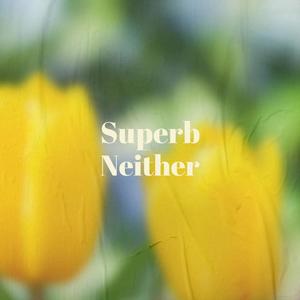 Superb Neither