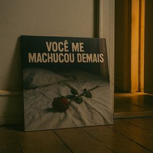 Você me machucou demais