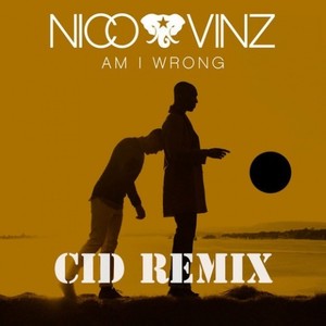 Am I Wrong (CID Remix)