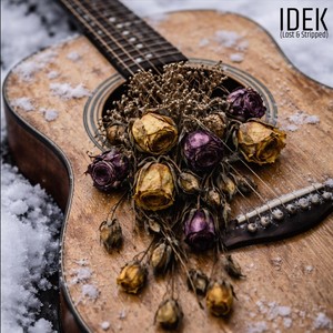 I.D.E.K. (Lost & Stripped) [feat. Pro-V] (Explicit)