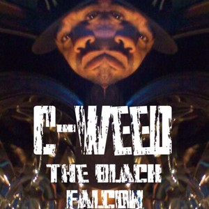 The Black Falcon (Explicit)