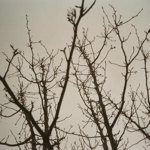 SMOKING WITH MITTENS ON (Explicit)