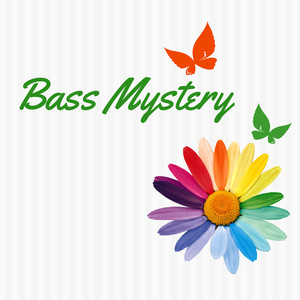 Bass Mystery