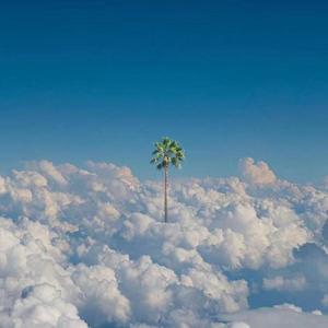 张信哲-爱就一个字 (rely remix)