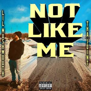 NOT LIKE ME (feat. Tha Joint) [Explicit]